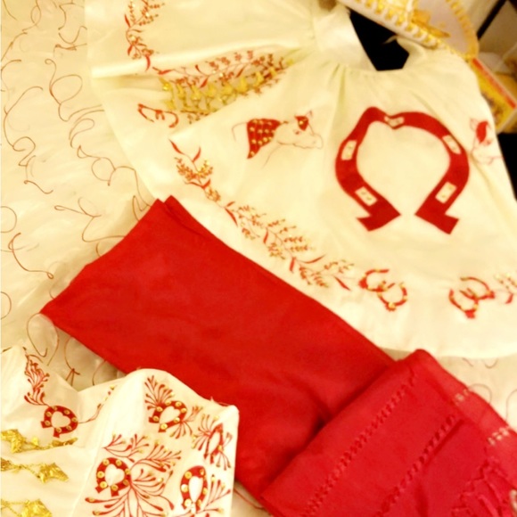 Quinceañera Dress Custom Made in Mexico - Picture 12 of 12